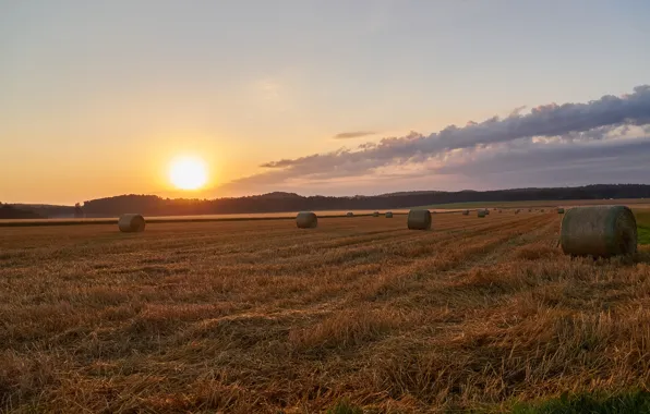 Field, forest, summer, the sky, the sun, clouds, light, dawn