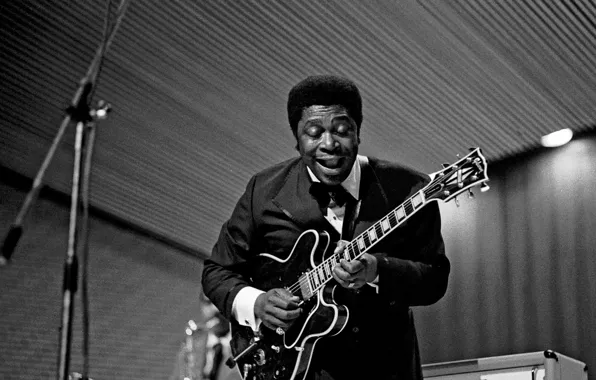 Picture guitar, Blues, the game, Lucille, B.B. King
