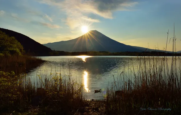 Picture the sun, lake, the volcano, reed, duck, Yoko Okamoto