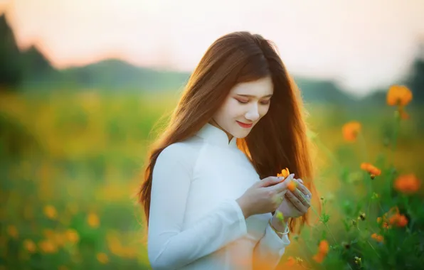 Field, summer, girl, flowers, orange, nature, pose, hands