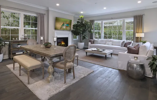 Design, style, heat, Villa, interior, plants, fireplace, living room