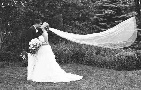 Grass, kiss, dress, costume, lovers, two, the bride, veil