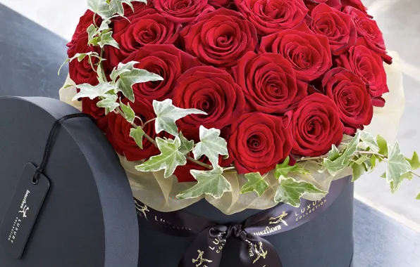 Lexus, red, bouquet, roses