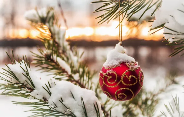 Winter, snow, tree, ball, branch, New Year, Christmas, christmas
