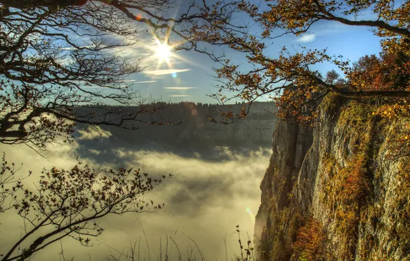 The sky, the sun, clouds, trees, branches, rocks