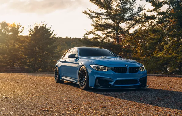 Picture BMW, Blue, Coupe, Autumn, Sight, F84