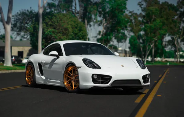 Picture Porsche, Cayman, Wheels, BLK