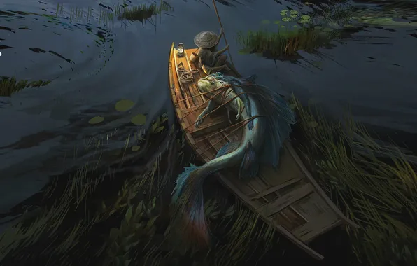 Boat, fish, fisherman, being, catch