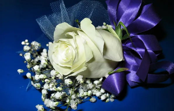 Tape, bow, March 8, blue background, white rose