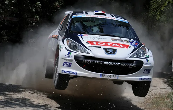 Picture Speed, Peugeot, Peugeot, WRC, Rally, Rally, The front, Flies