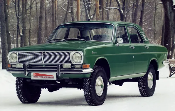 Picture trees, the concept, green, the front, Volga, GAS, GAZ, 24-95