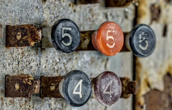 Macro, background, button