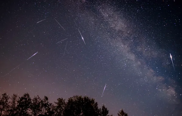 Space, stars, drop, the Perseids