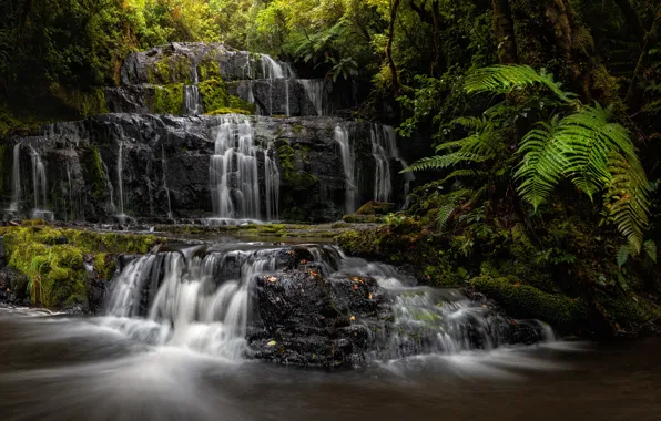 Forest, river, waterfall, New Zealand, cascade, New Zealand, fern, Purakaunui Falls