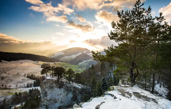 Trees, mountains, morning