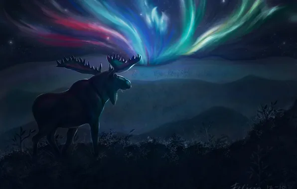 Picture landscape, night, Northern lights, art, horns, moose