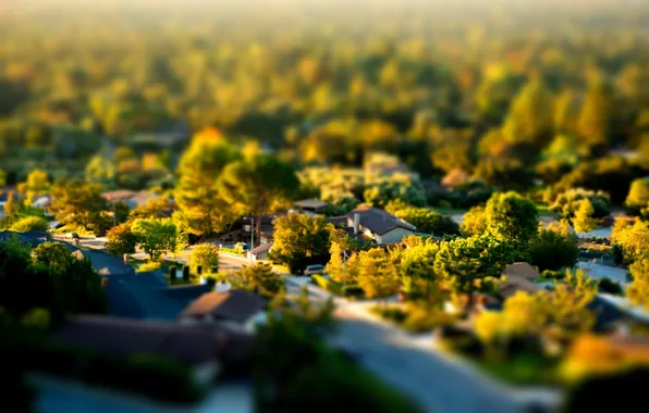 Greens, trees, home, town
