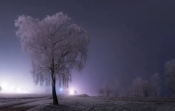 Winter, the sky, snow, trees, fog, road