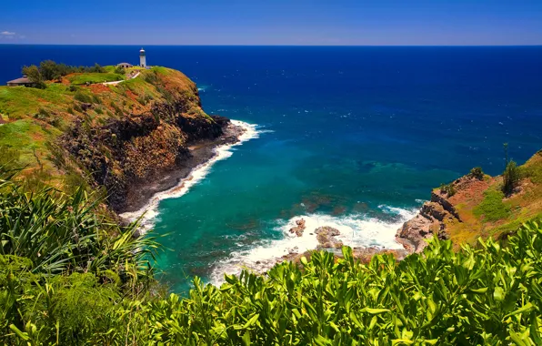Picture sea, the sky, grass, lighthouse, horizon, hawaii, Cape, rasteniya