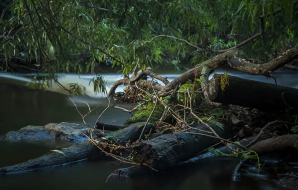 Water, River, snag, thresholds