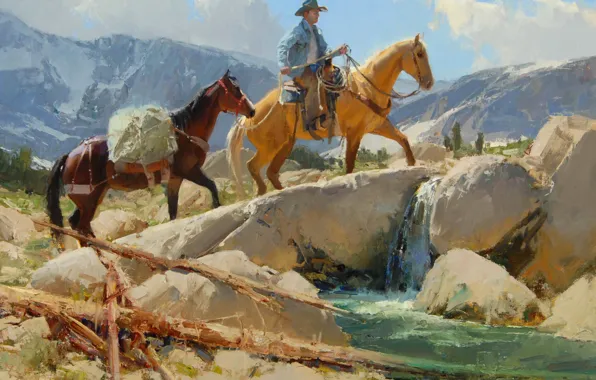 Picture the sky, landscape, mountains, river, stream, stones, horse, cowboy