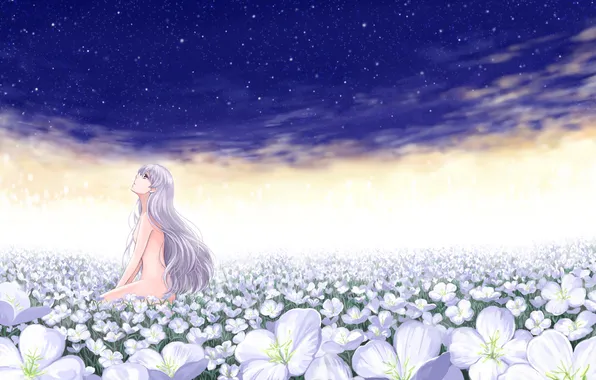 Picture field, girl, Nude, white flowers, Yin, Darker Than Black