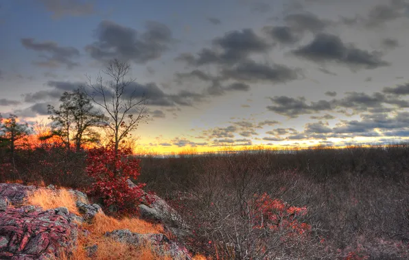 Picture autumn, the sky, leaves, clouds, sunset, stones, tree, rocks