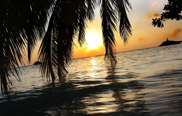 Sea, the sky, the sun, sunset, palm trees, stay, yachts, Island