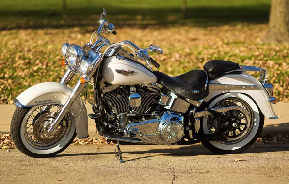 Picture design, background, motorcycle, bike, Harley-Davidson