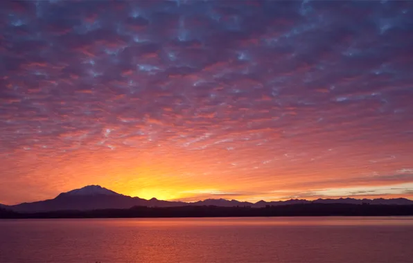 The sky, clouds, trees, sunset, mountains, lake, shore, the evening