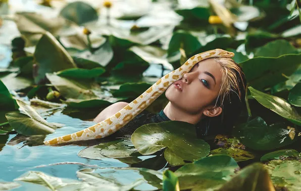 Leaves, girl, pond, snake, Python, pond