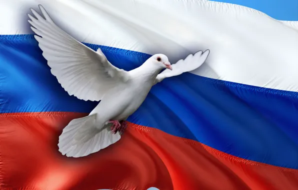 Picture Dove, Flag, The world, Russia, Freedom, Peacemakers, Russian peacekeepers, The Dove of Peace