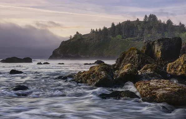 Sea, wave, forest, clouds, mountains, stones, rocks, shore