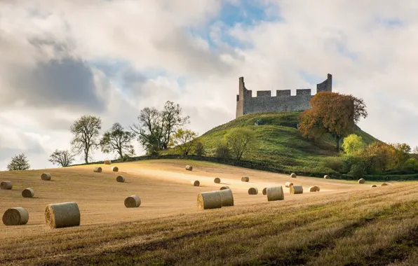 Field, hay, Scottish Borders, Hume Castle