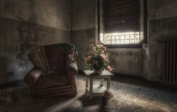 Flowers, chair, window