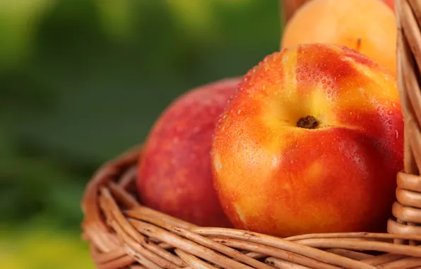Drops, macro, basket, fruit, peaches, apricots, nectarine