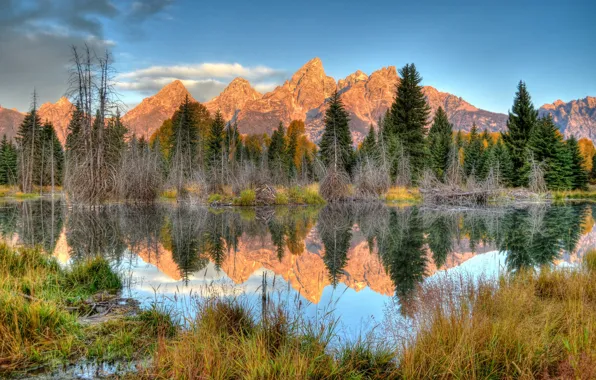 Picture trees, landscape, mountains, lake, reflection