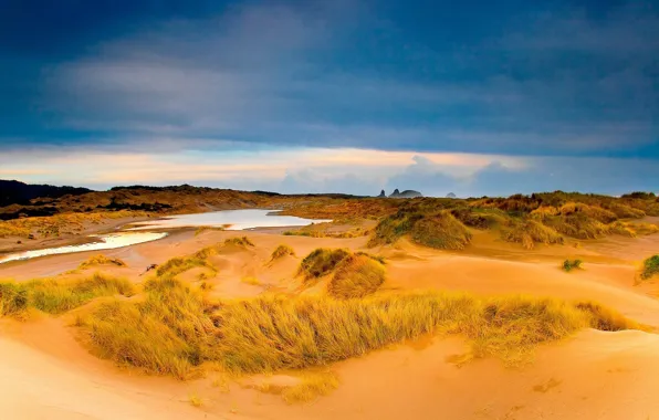 Picture sand, desert, puddle