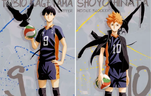 The ball, feathers, red, crows, guys, sports uniforms, Haikyuu!!, Volleyball!