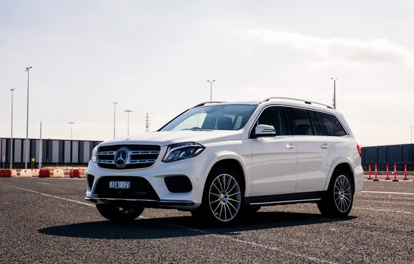 Picture Mercedes-Benz, Mercedes, AMG, X166, GLS-Class