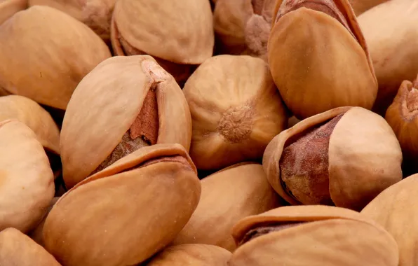 Macro, food, nuts, delicious, pistachios