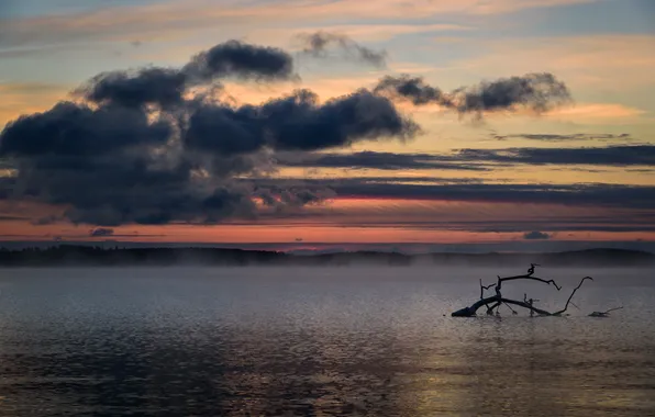 Picture sea, the sky, sunset