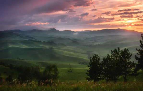 Field, summer, trees, sunset, mountains, fog, hills, field