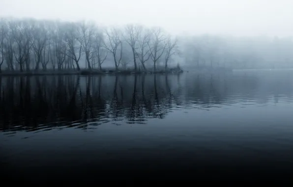 Forest, fog, river, shore, black and white, morning, cool