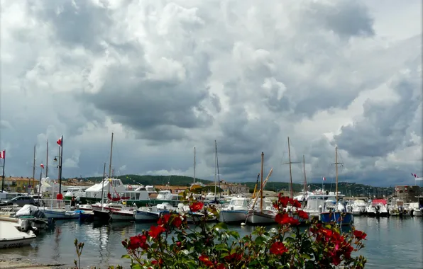 Picture France, Provence-Alpes-Côte d'azur, St.-Tropez