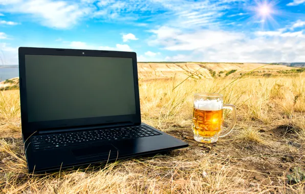 The sky, grass, foam, the sun, clouds, landscape, beer, mug