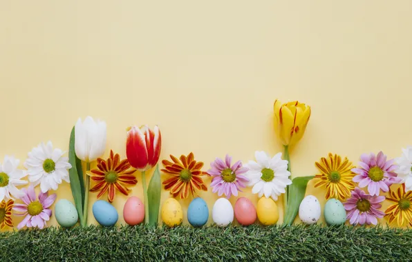 Picture grass, flowers, chamomile, spring, colorful, Easter, tulips, chrysanthemum