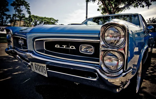 Picture Pontiac, GTO, muscle car, 1967