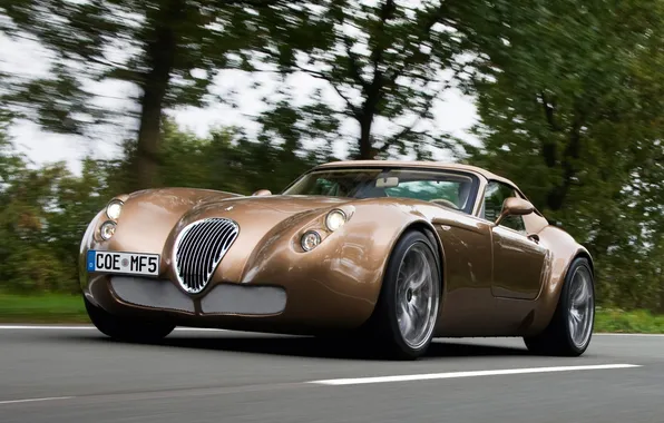 Picture road, trees, supercar, brown, wiesmann, roadster, мф5, mf5