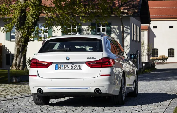 Picture white, tree, lawn, street, vegetation, home, pavers, BMW